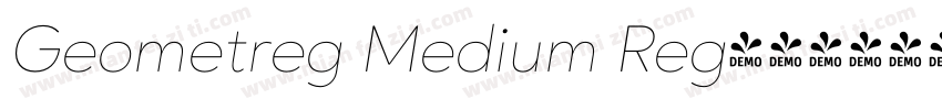 Geometreg Medium Reg字体转换